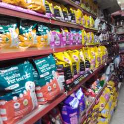 Mohali Pet World Fish Aquarium Mohali Sas Nagar Pet Shops In Mohali Chandigarh Justdial