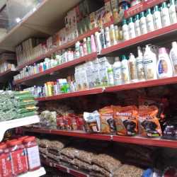 Mohali Pet World Fish Aquarium Mohali Sas Nagar Pet Shops In Mohali Chandigarh Justdial