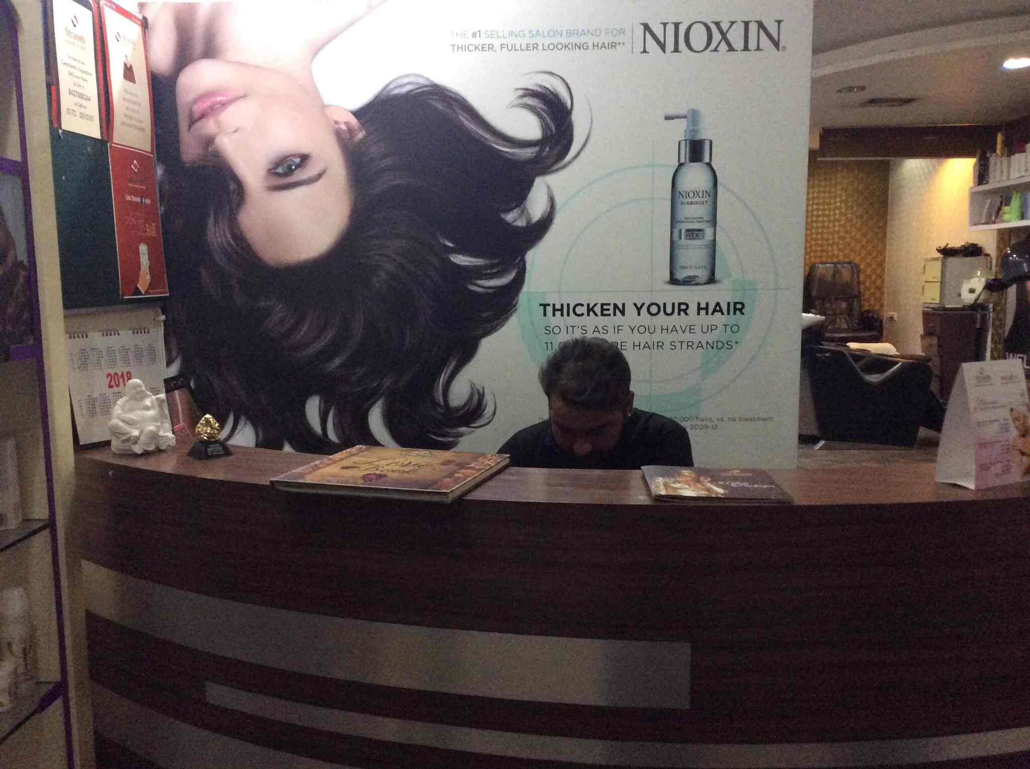 Stands Launch Unisex Salon in Chandigarh Sector 35,Chandigarh Best Makeup Artists in