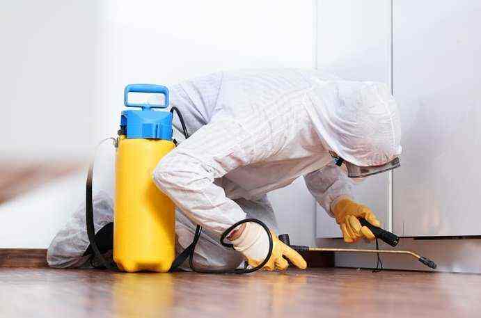 Top Pest Control Services in Jalandhar - Best Residential Pest Control  Services - Justdial