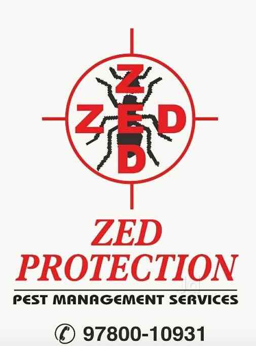 Zed Protection in Mohali Sas Nagar,Chandigarh Best Pest Control