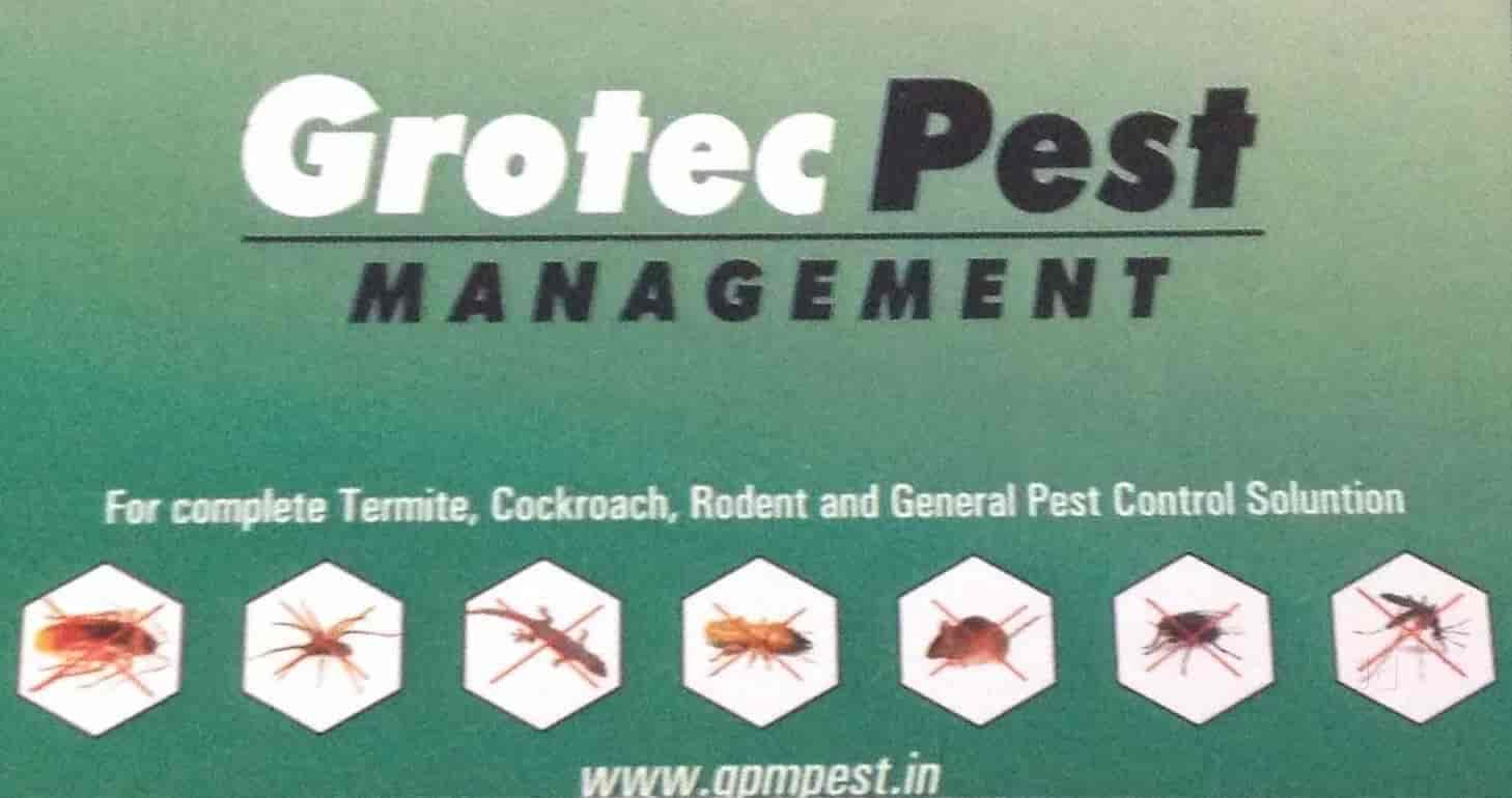 Top Bird Netting Services in Mohali Sas Nagar Best Bird Net