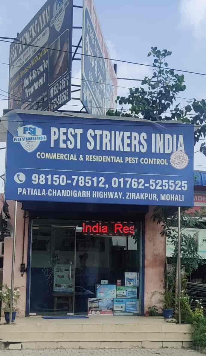 Pest Strikers India in Zirakpur City,Chandigarh Best Pest Control