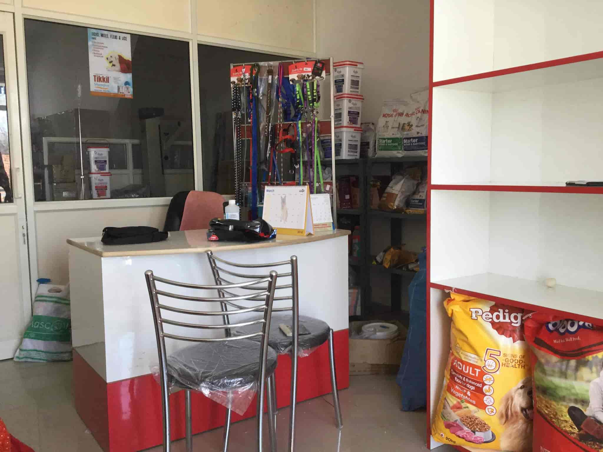 Top Pet Shops For Dog in Derabassi,Zirakpur Best Pet Supplies Store near me Justdial