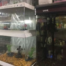 Aquarium Shop In Zirakpur