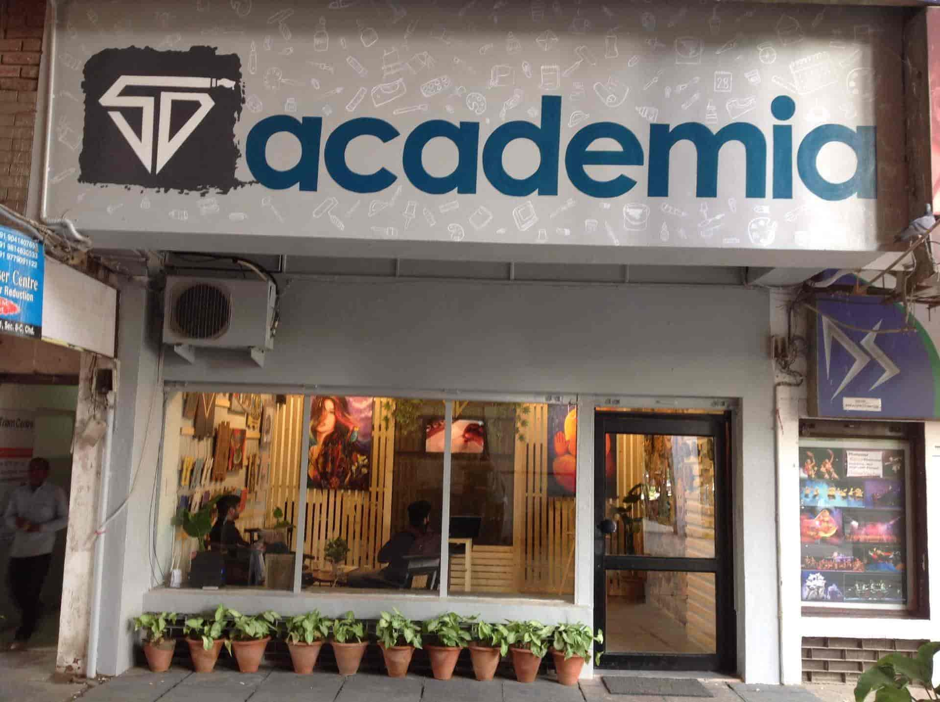 SD Art Academia, Chandigarh Sector 8c Painting Classes in Chandigarh