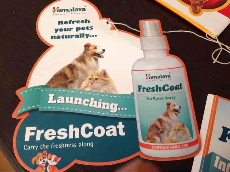 Royal Dog Clinic in NEW DEFENCE COLONY ZIRAKPUR,Chandigarh Best