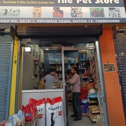 Animal kingdom pet store near me best sale