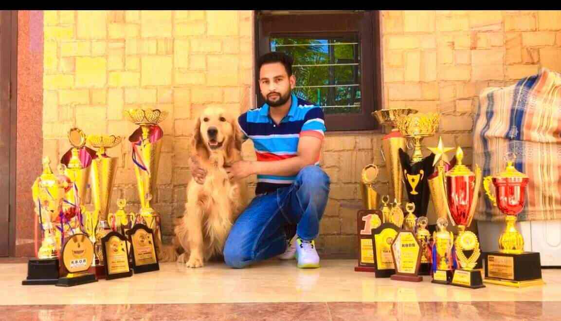 Top Pet Shops in Chandigarh Best Pet Store near me Justdial