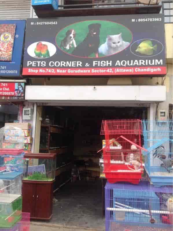 Pets corner near me clearance
