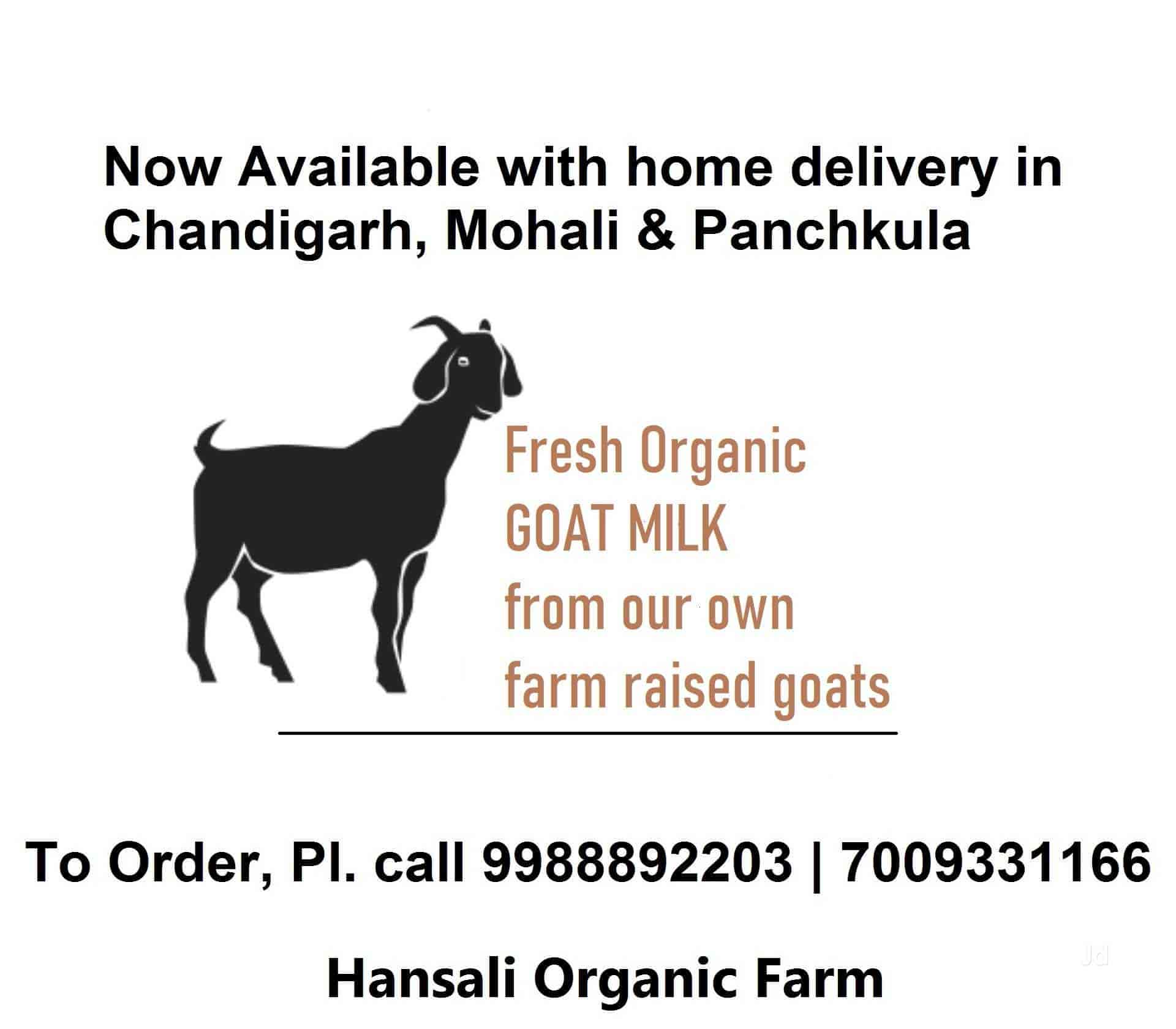 Top A2 Milk Retailers in Hoshiarpur Best A2 Milk Retailers near me