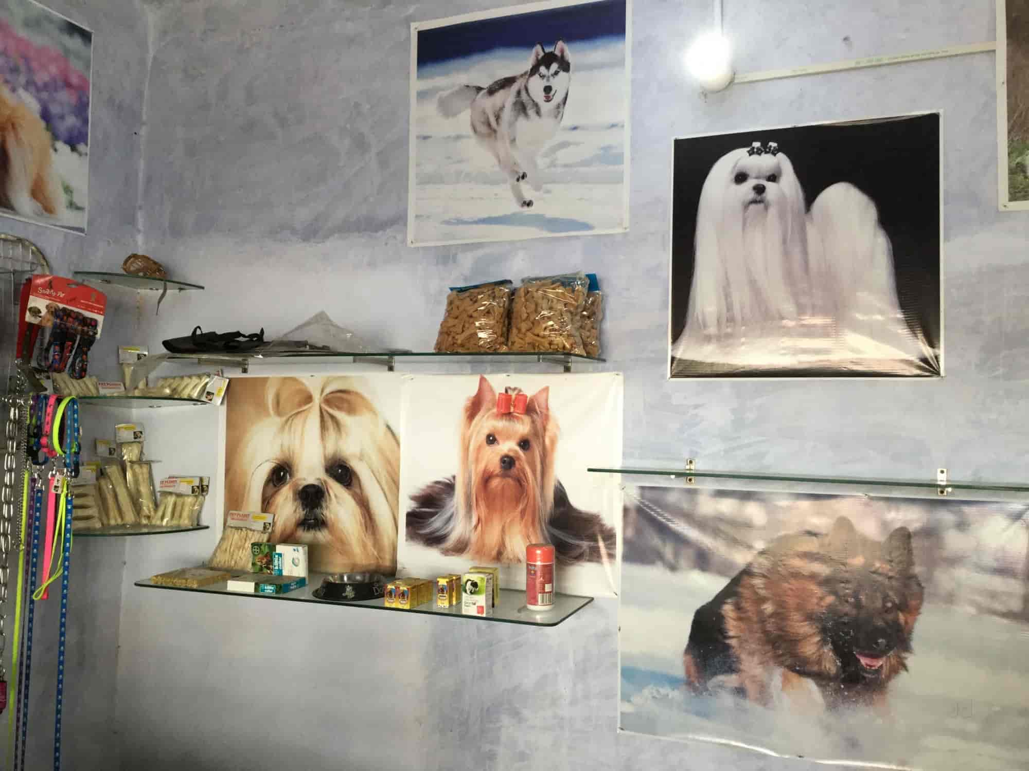 Top Pet Shops For Dog in Derabassi,Zirakpur Best Pet Supplies Store near me Justdial