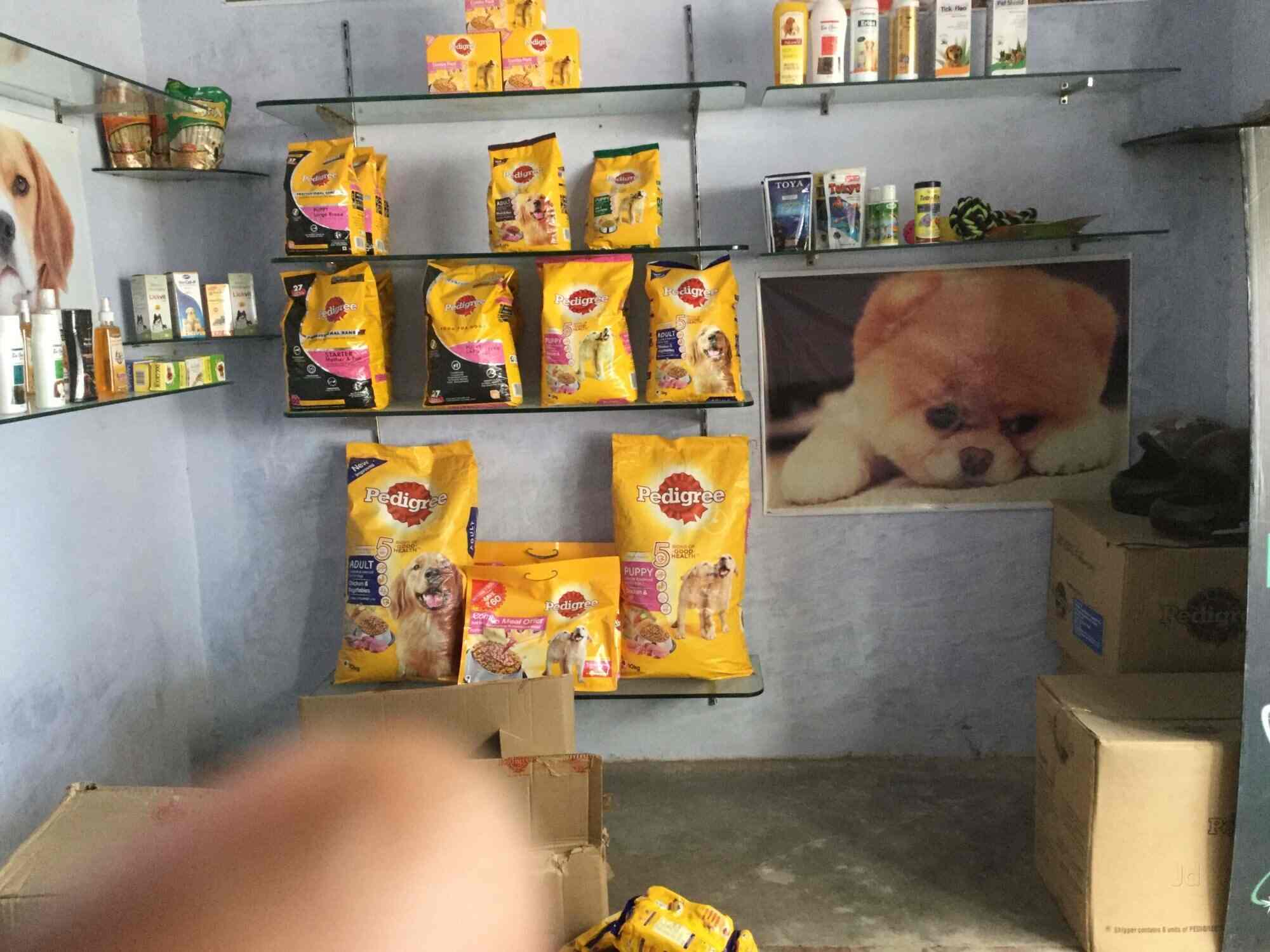 Top Pet Shops For Dog in Derabassi,Zirakpur Best Pet Supplies Store near me Justdial