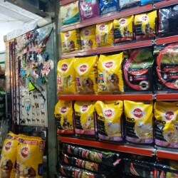 Mohali Pet World And Fish Aquarium Mohali Pet Shops In Chandigarh Justdial