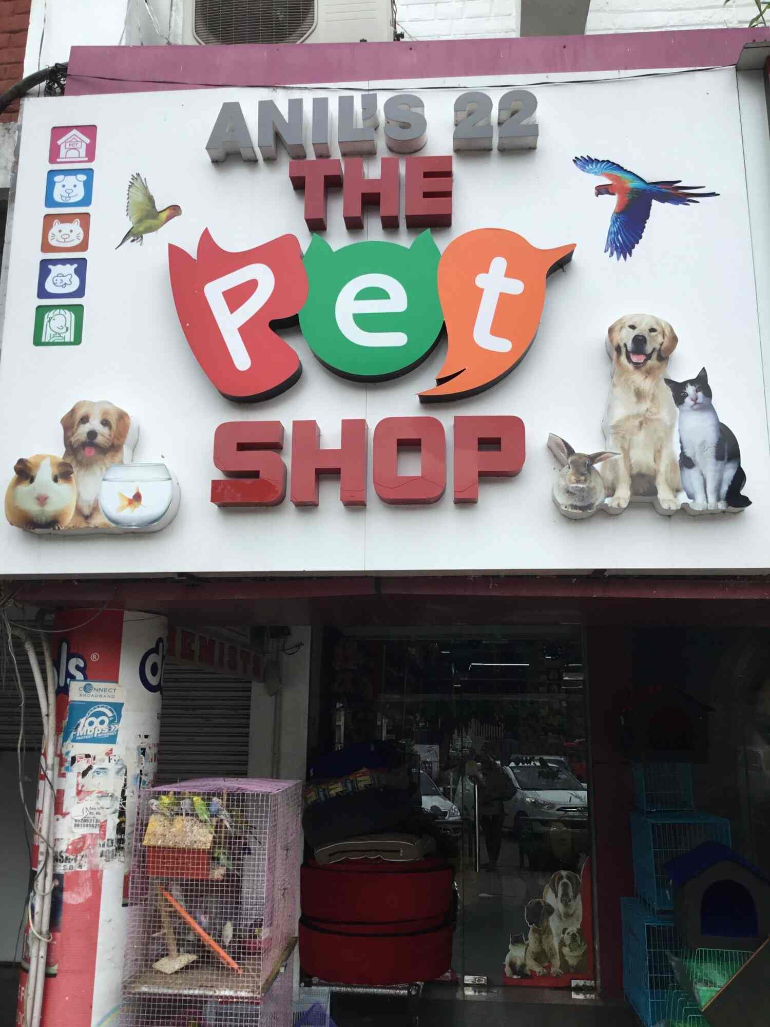 Shop Dogs Columbia Tn 78 - likkjx9