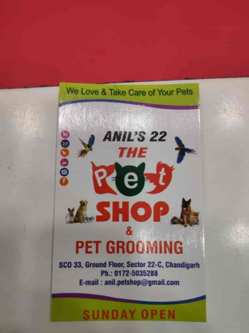 Top Pet Shops in Chandigarh Best Pet Store near me Justdial