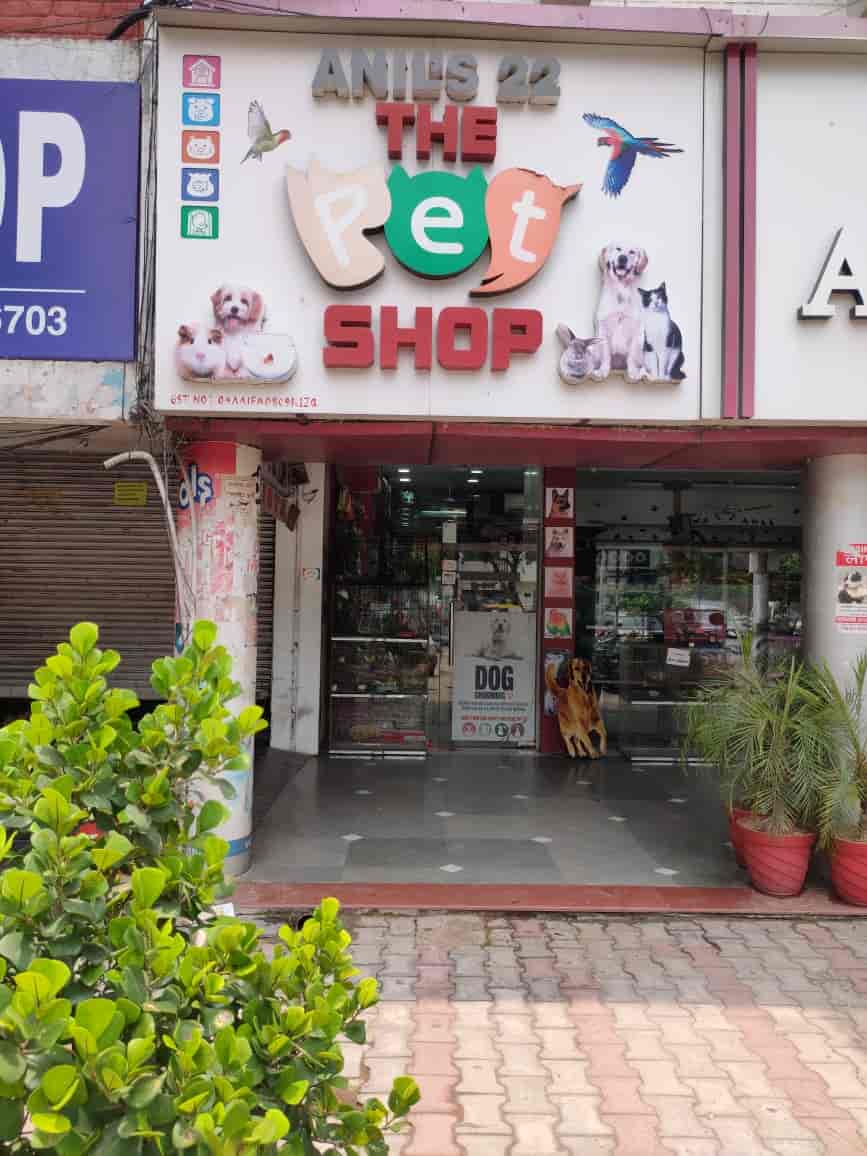 Top Pet Shops in Chandigarh Best Pet Store near me Justdial