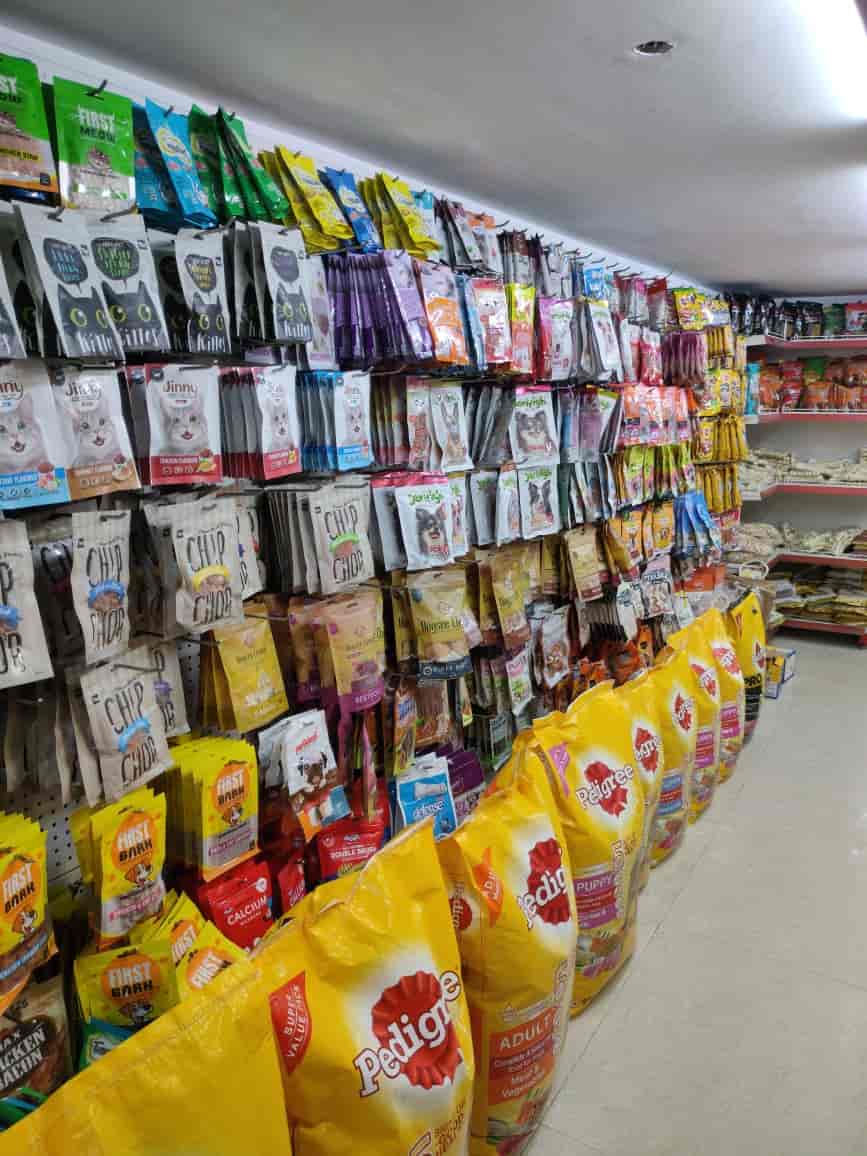 Top Pet Shops in Chandigarh Best Pet Store near me Justdial