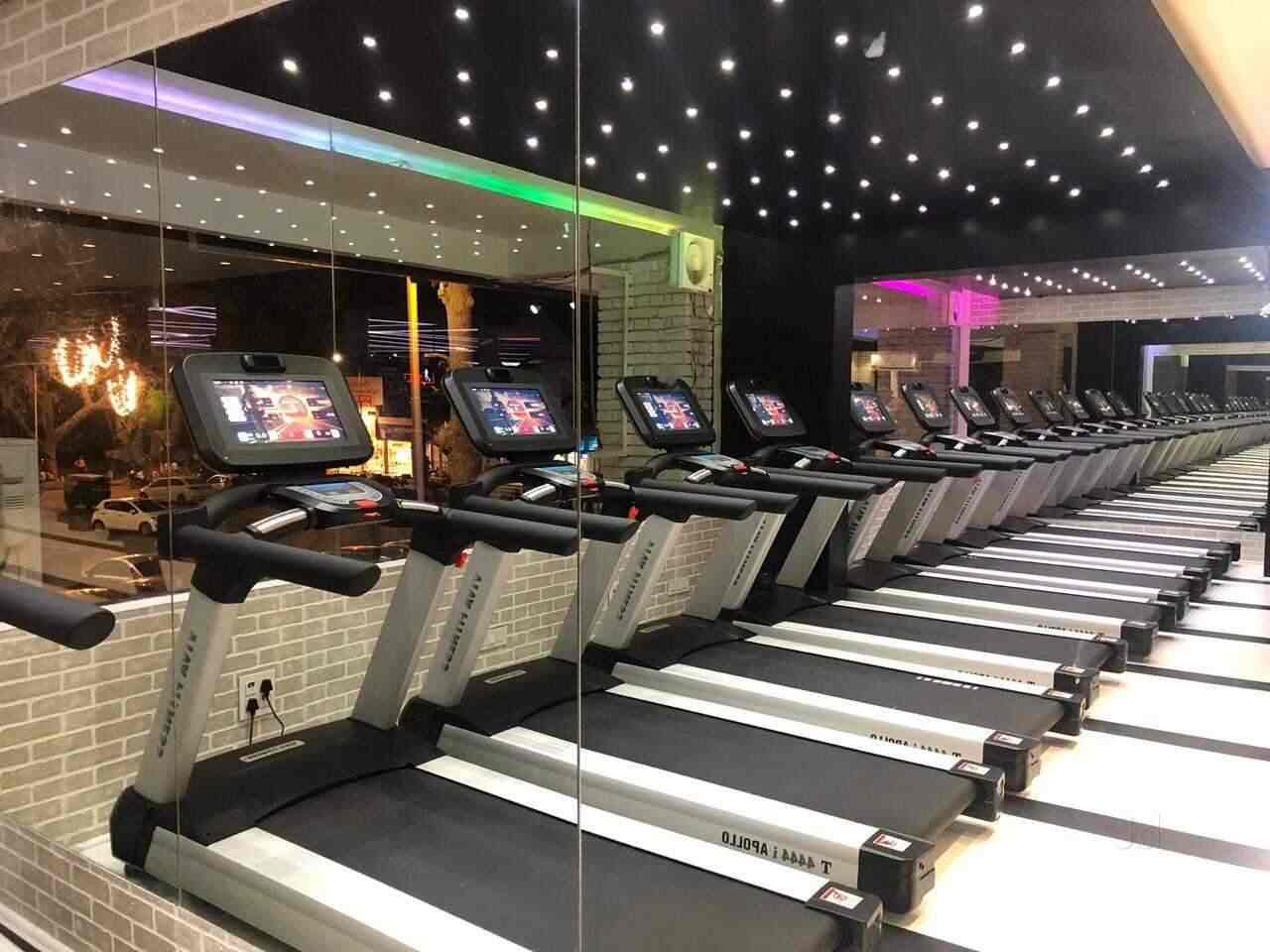 Ozi Gym & Spa, Chandigarh Sector 37 Gyms in Chandigarh Justdial