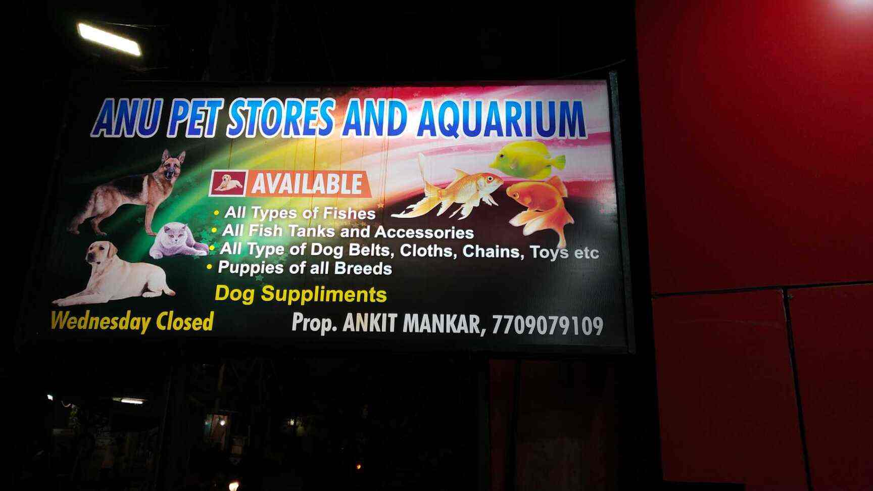 Top Fish Food Retailers In Jamani Best Fish Feed Retailers