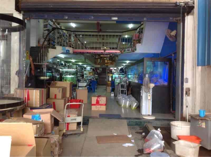 Aquasstar Sun India Photos Kolathur Chennai Pictures Images Gallery Justdial