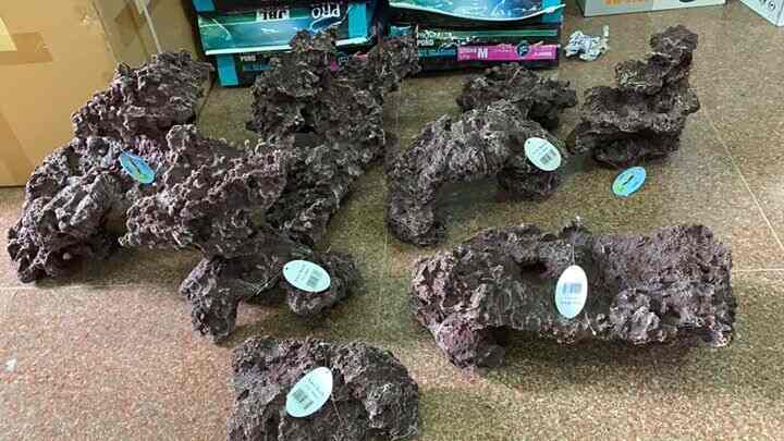 Aquasstar Sun India Photos Kolathur Chennai Pictures Images Gallery Justdial