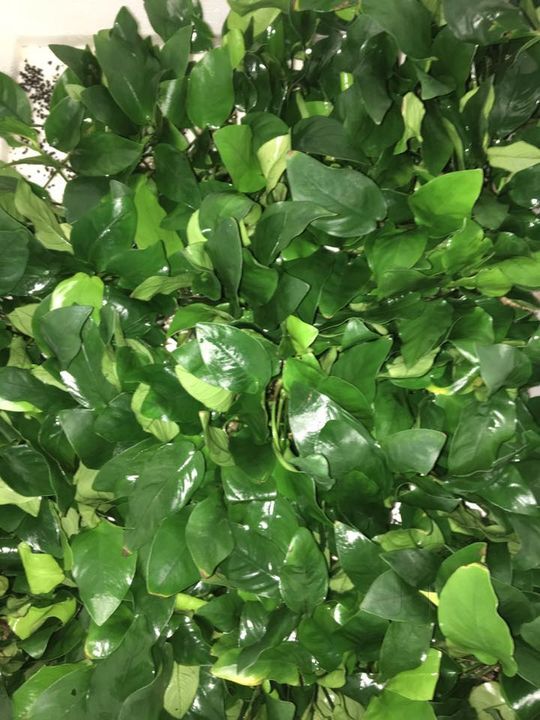 Aquasstar Sun India Photos Kolathur Chennai Pictures Images Gallery Justdial