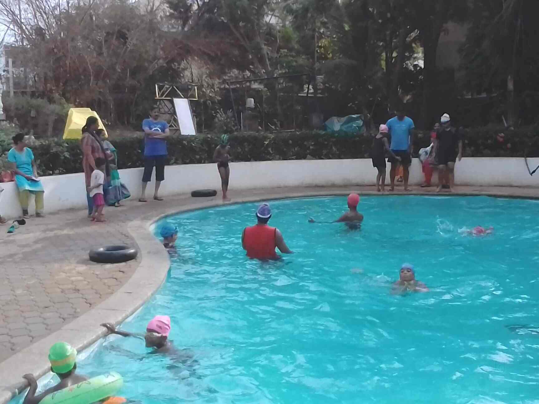 Top Swimming Classes In Kilpauk Best Swimming Training Classes Chennai Justdial