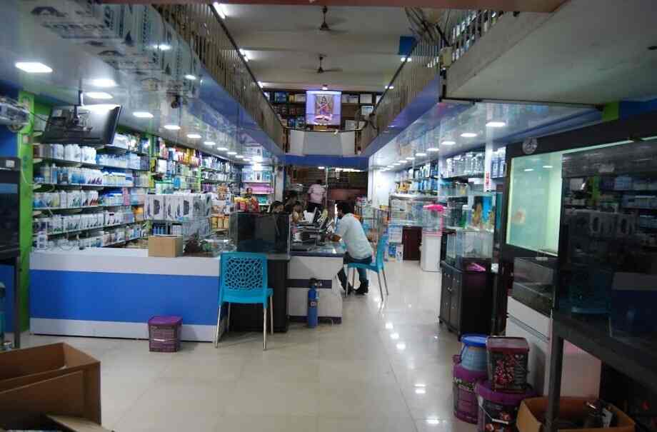 Aquas Star Kolathur Fish Tank Dealers In Chennai Justdial