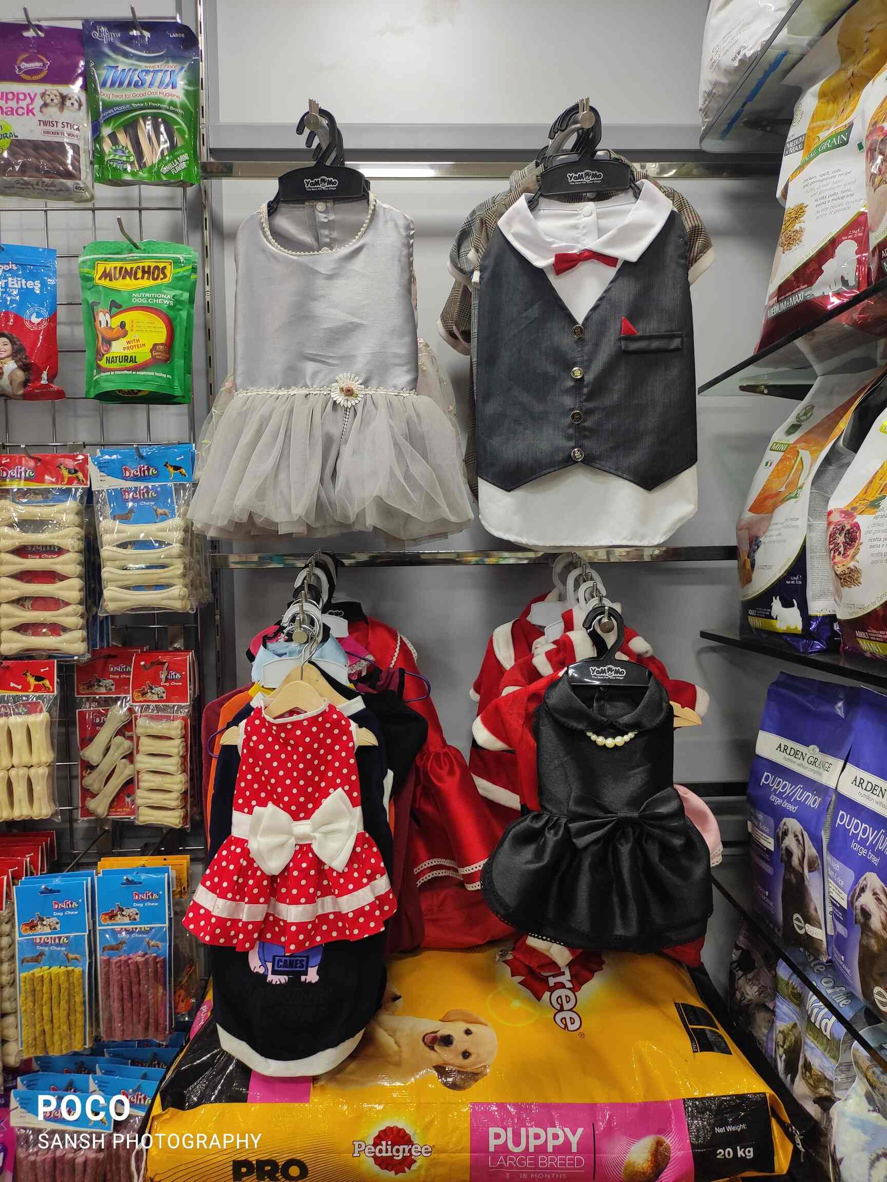 Top Pet Shops in Chennai Best Pet Store near me Justdial