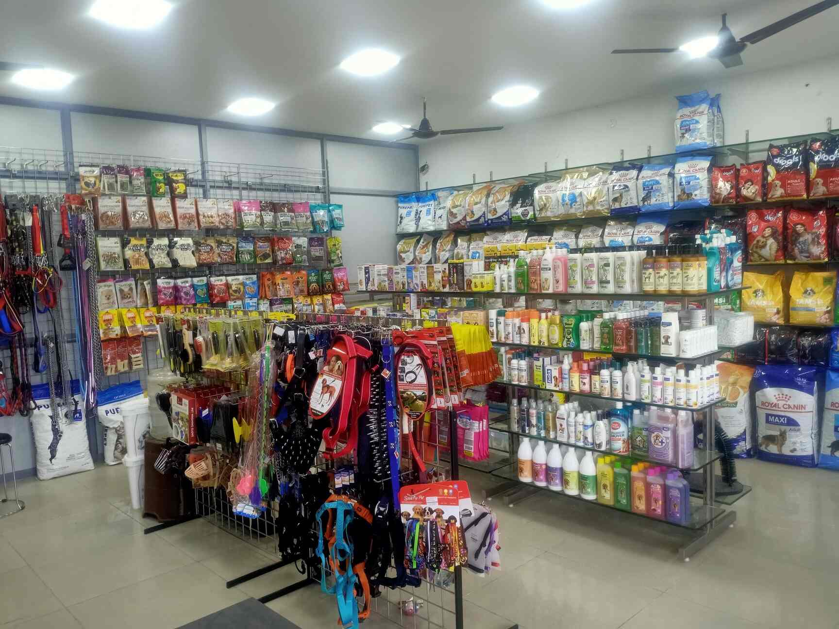 Top Pet Shops in Chennai Best Pet Store near me Justdial
