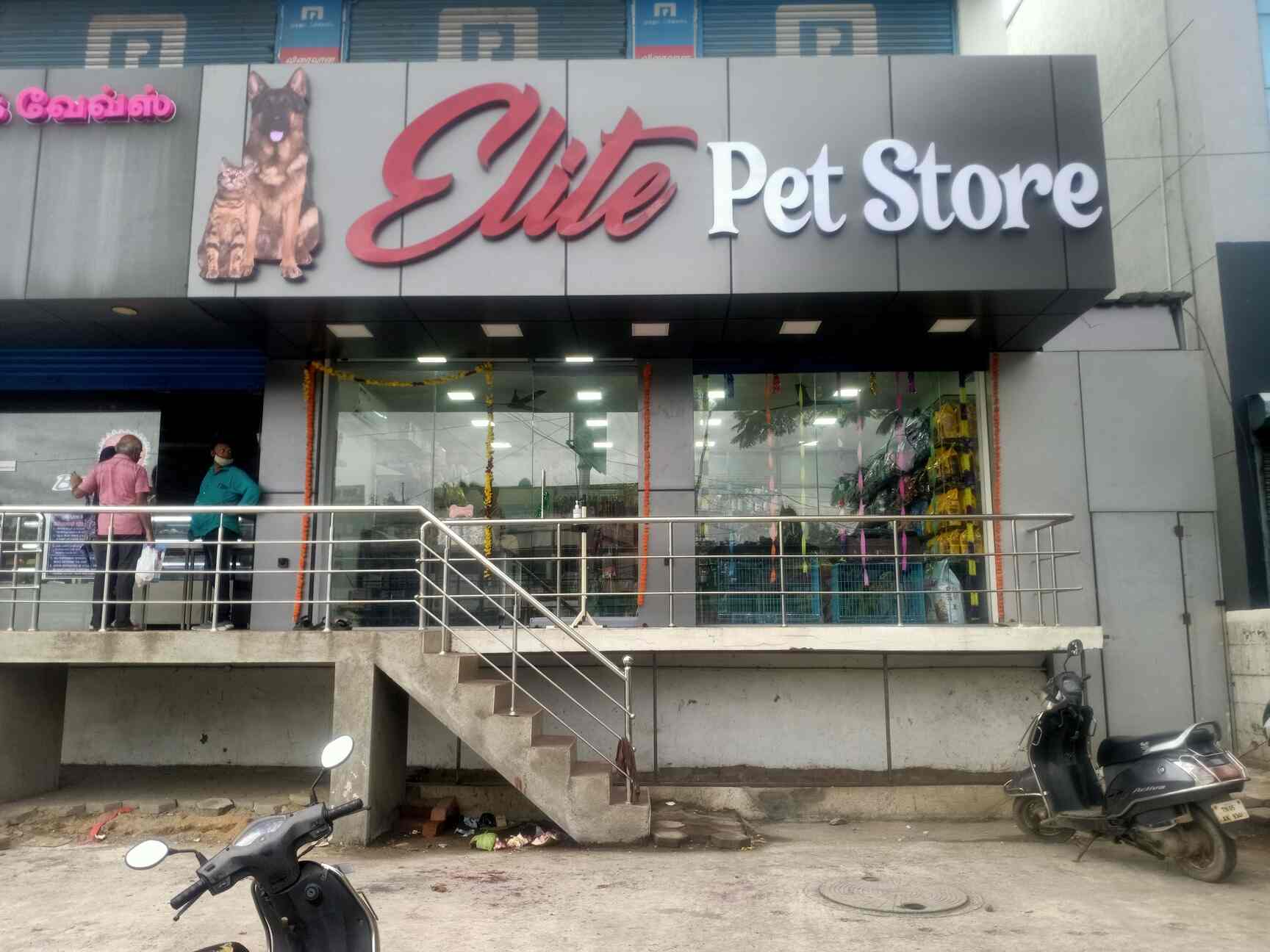 Top Pet Shops in Chennai Best Pet Store near me Justdial