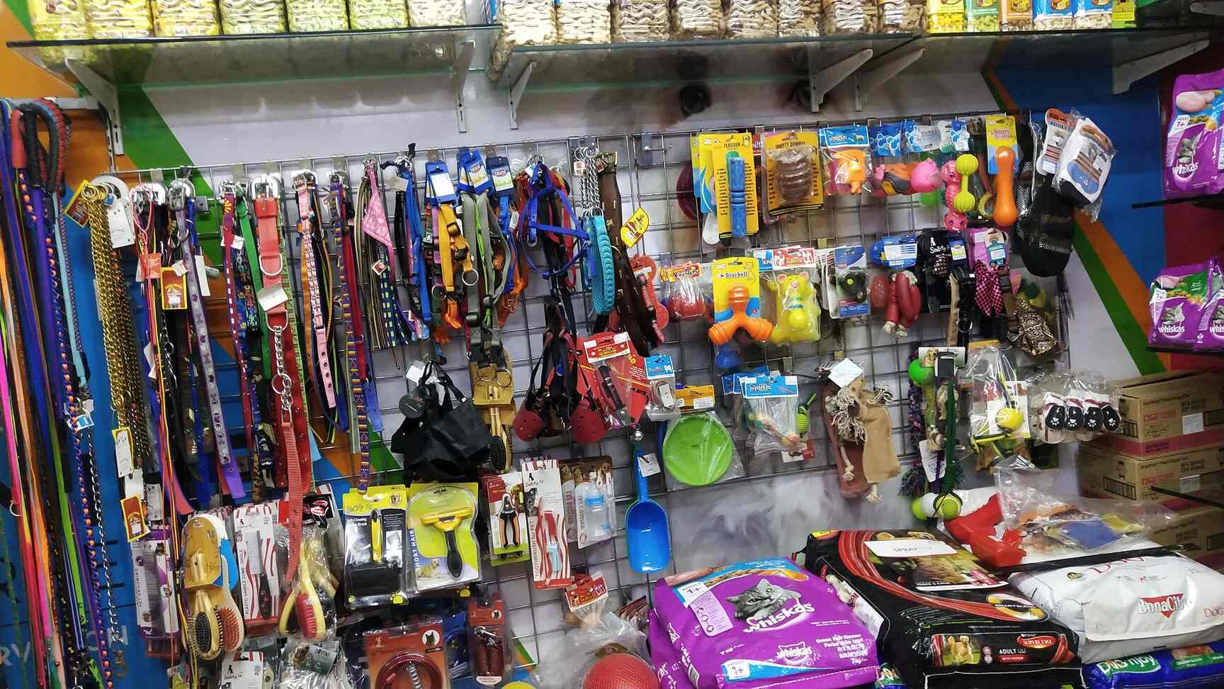 Top Pet Shops in Chennai Best Pet Store near me Justdial