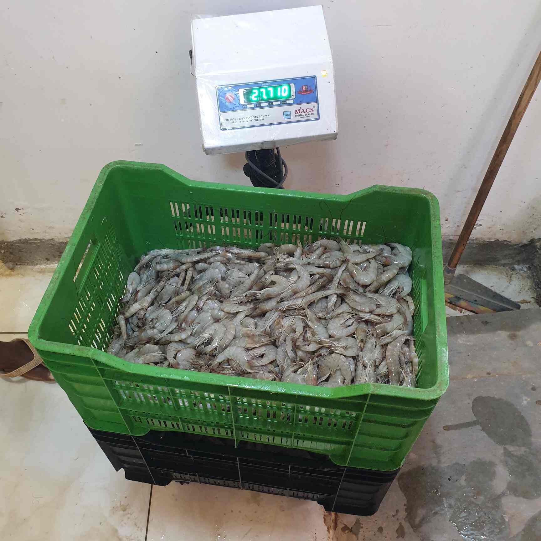 Top Fish Markets in Manali Best Seafood Market Justdial