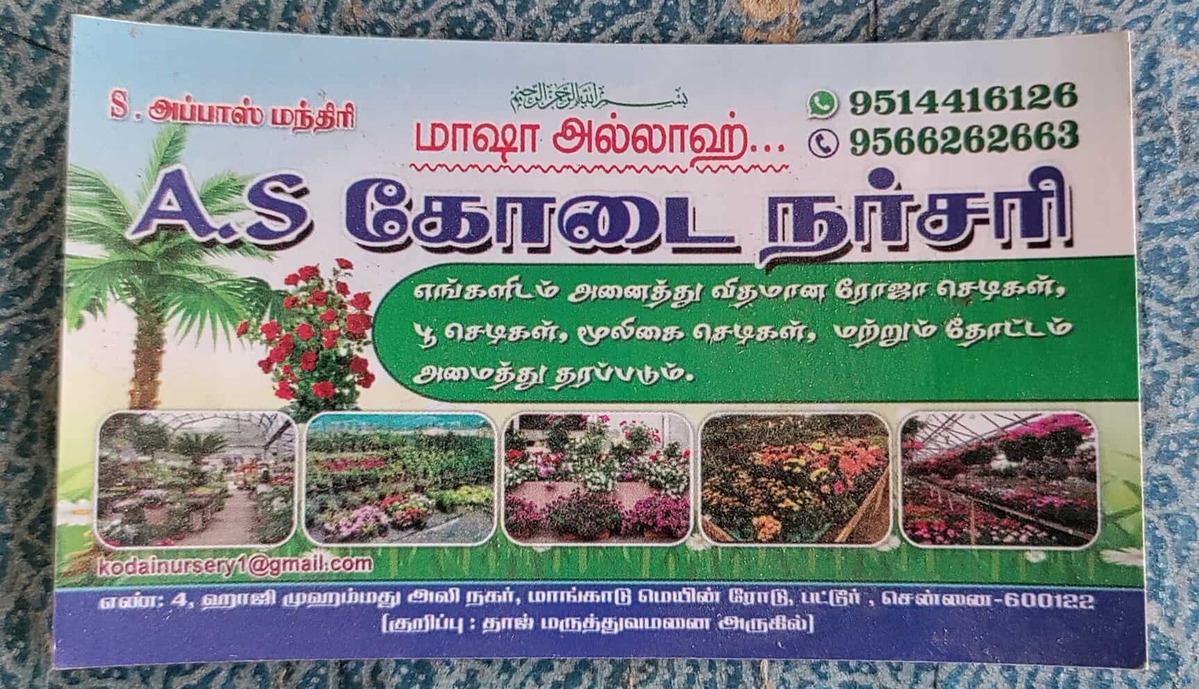 AS Kodai Nursery in Pattur,Chennai Best Plant Nurseries in Chennai