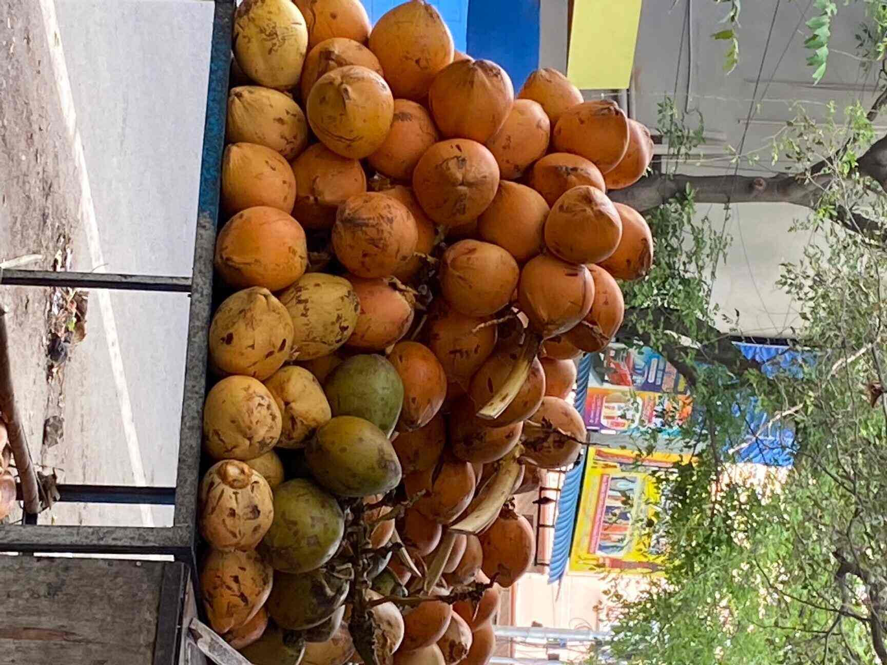 Top Coconut Retailers in Thiruvanmiyur Best Semi Husked Coconut