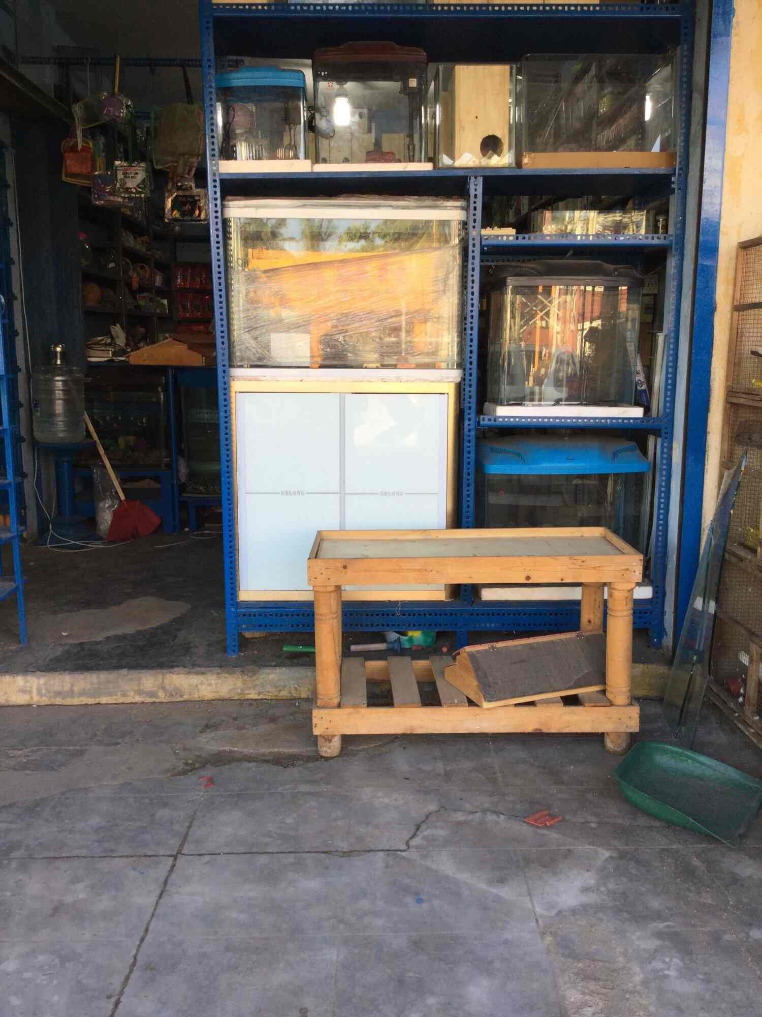 Top Fish Aquarium Dealers In Injambakkam Best Fish Aquarium Shops Justdial