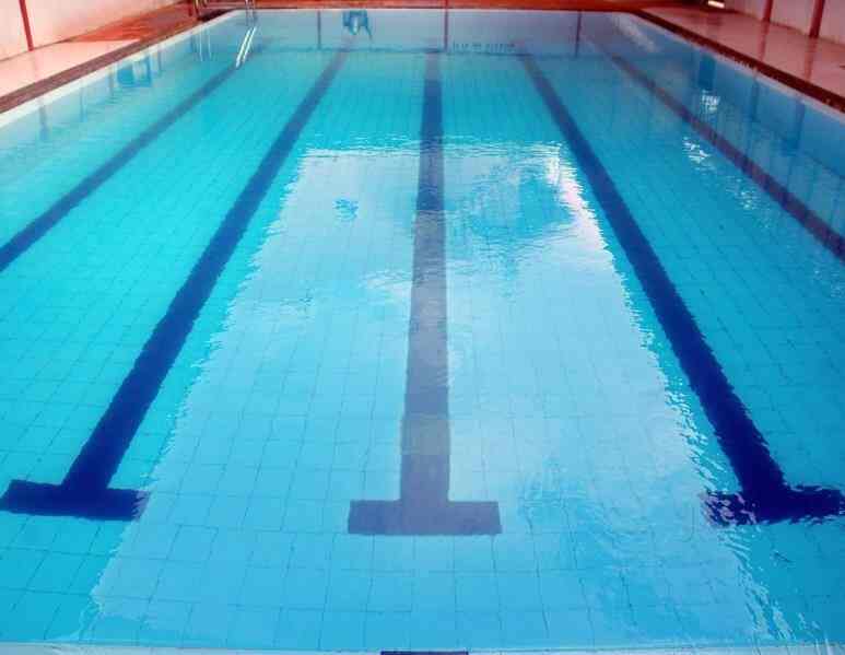 Top Swimming Classes In Iit Best Swimming Training Classes Chennai Justdial