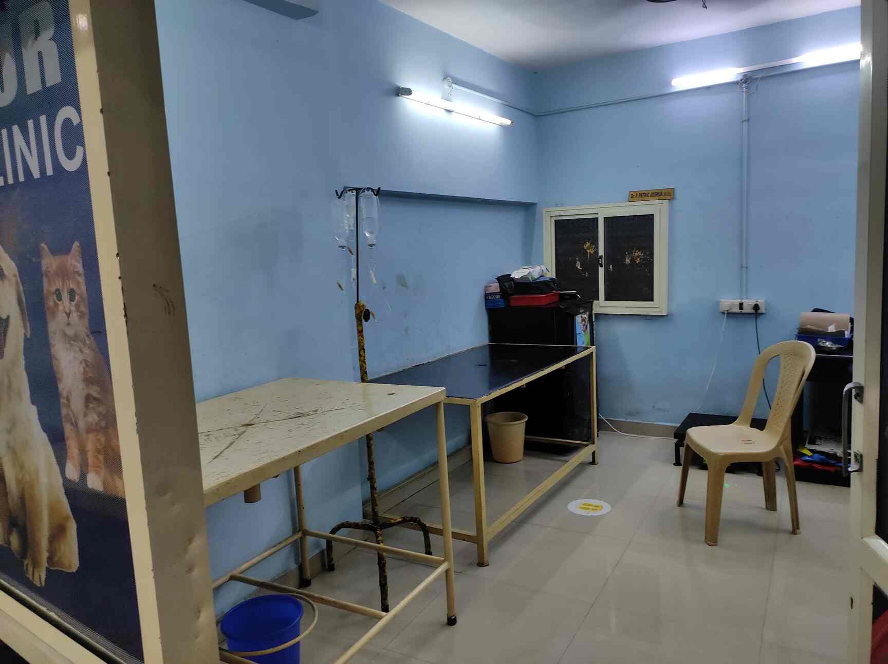 Top Pet Shops For Dog in Chennai Best Pet Supplies Store near me Justdial