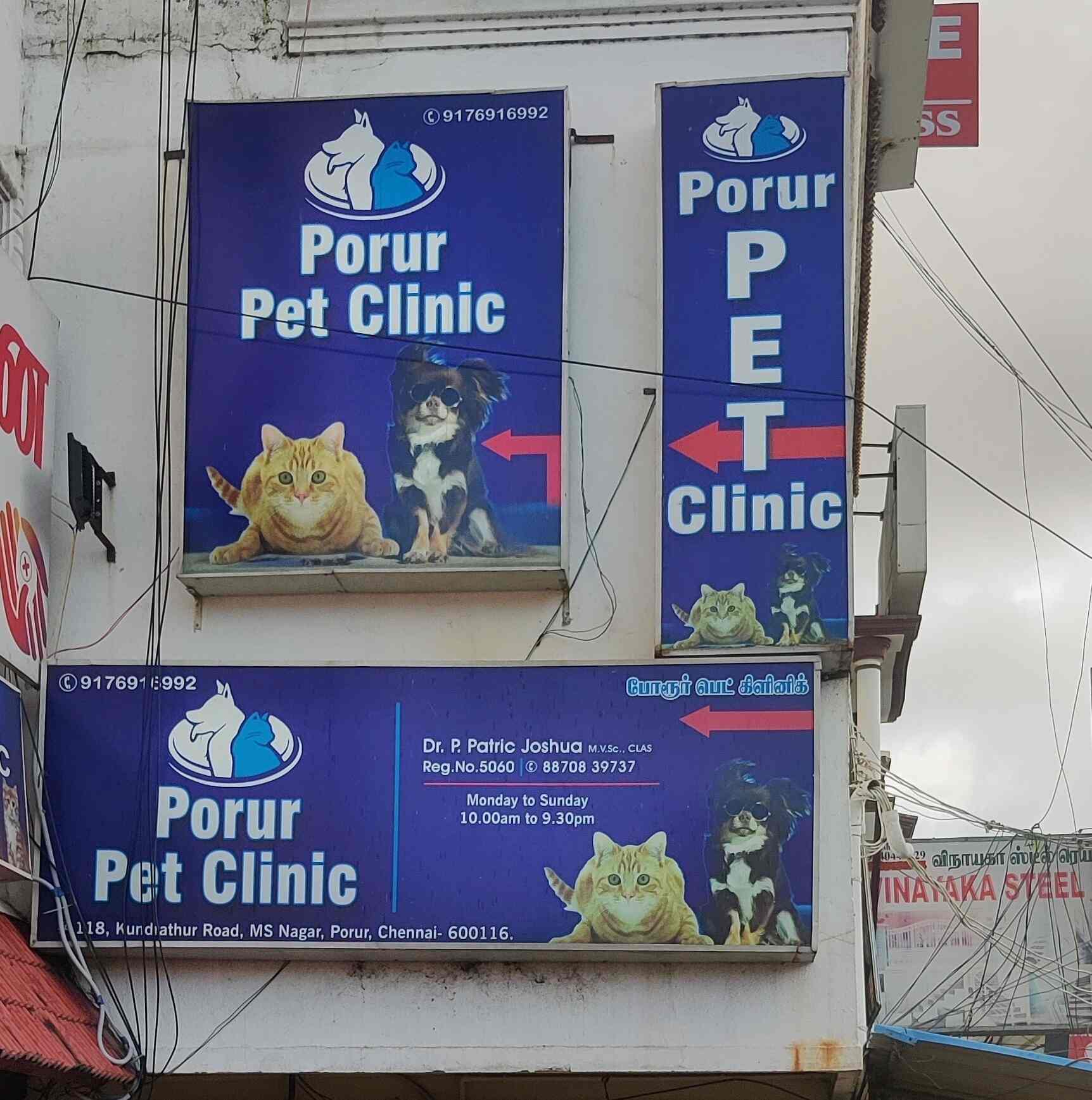 Top Pet Shops For Dog in Chennai Best Pet Supplies Store near me Justdial