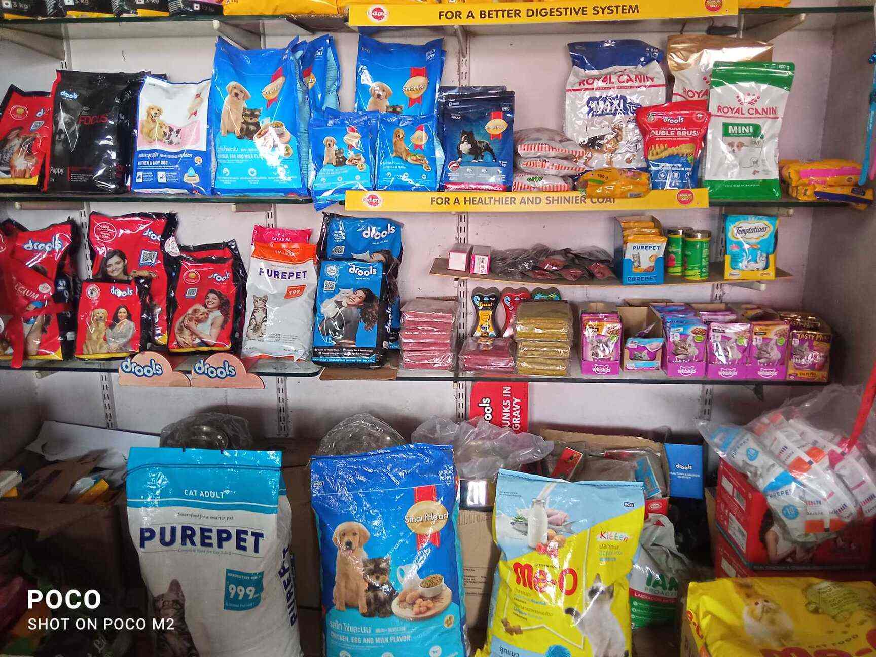 Amazing Pet Shop in Iyyappanthangal,Chennai - Best Pet Accessory ...