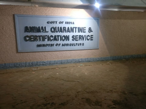 Animal Quarantine & Certification Service Station in Pallikaranai,Chennai - Best Government Organisations in Chennai - Justdial Animal Quarantine & Certification Service Station in Pallikaranai,Chennai - Best Government Organisations in Chennai - Justdial