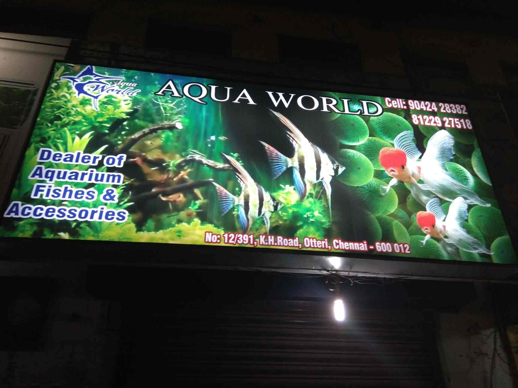 Aqua World, Otteri Pet Shops in Chennai Justdial