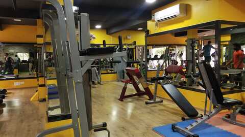 Pinnacle fitness equipment hot sale