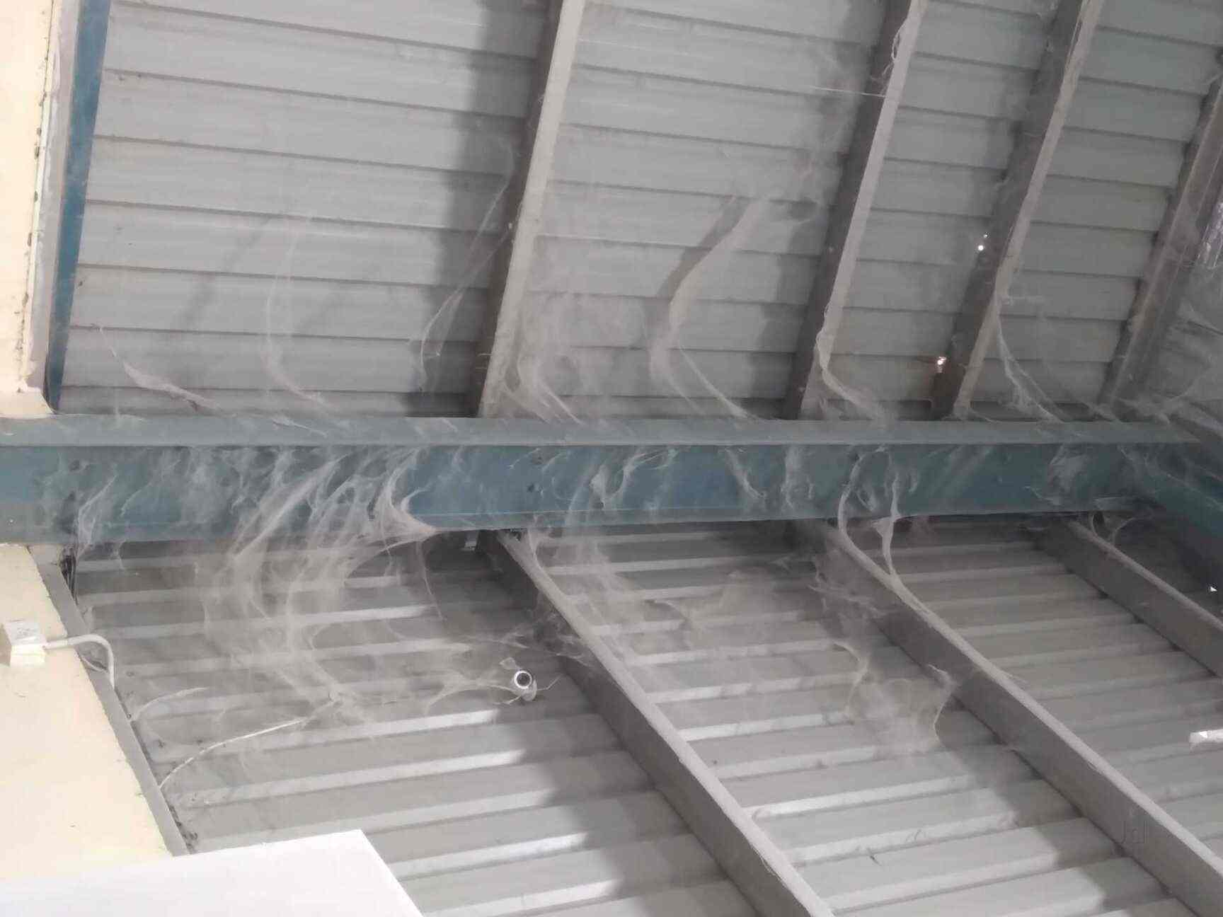 Top 50 Facade Cleaning Services in Chennai क्लीनिंग सर्विसेज फॉर फसाड