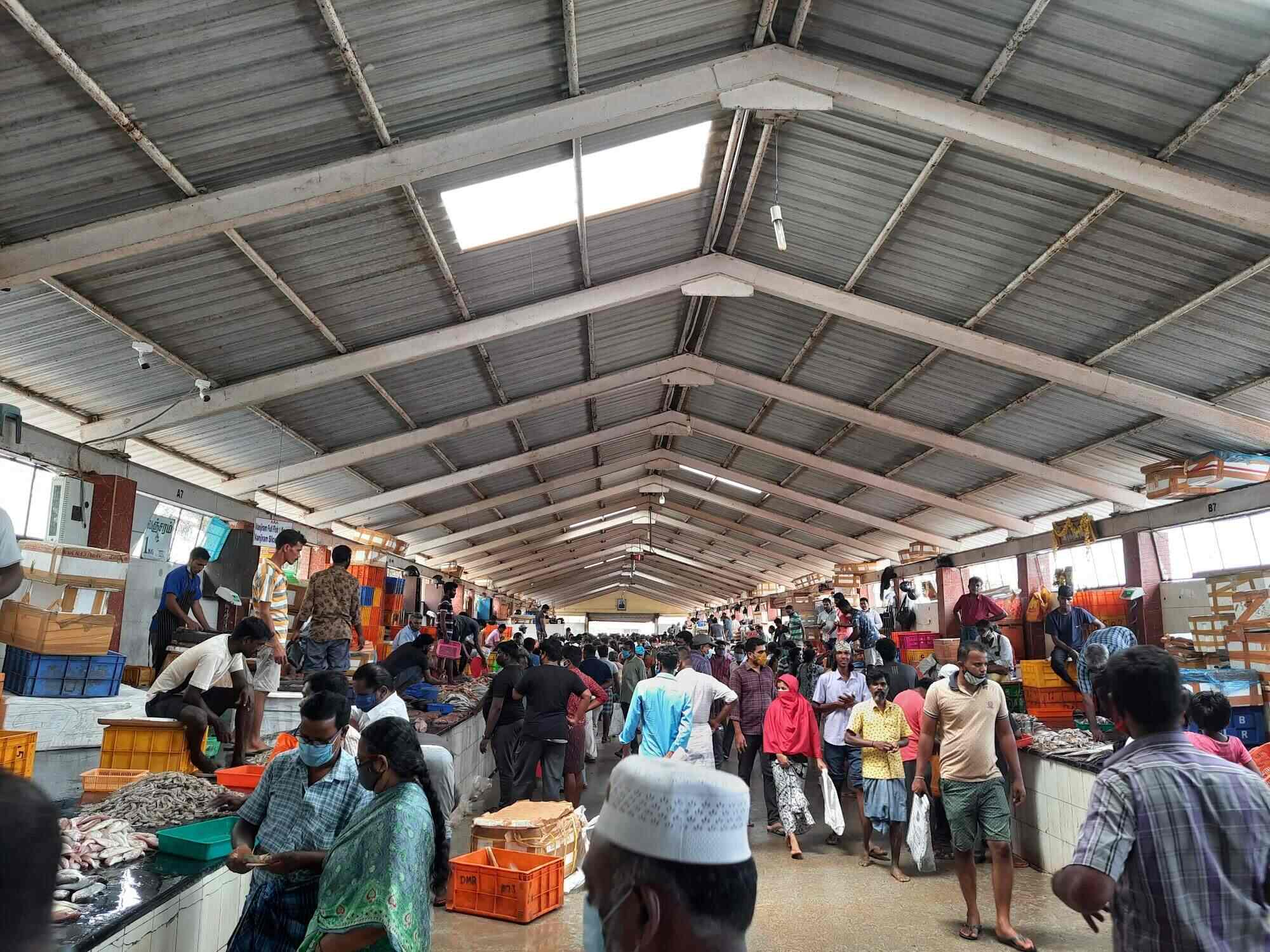 Top Fish Markets in Wholesale Market Complex Best Seafood Market