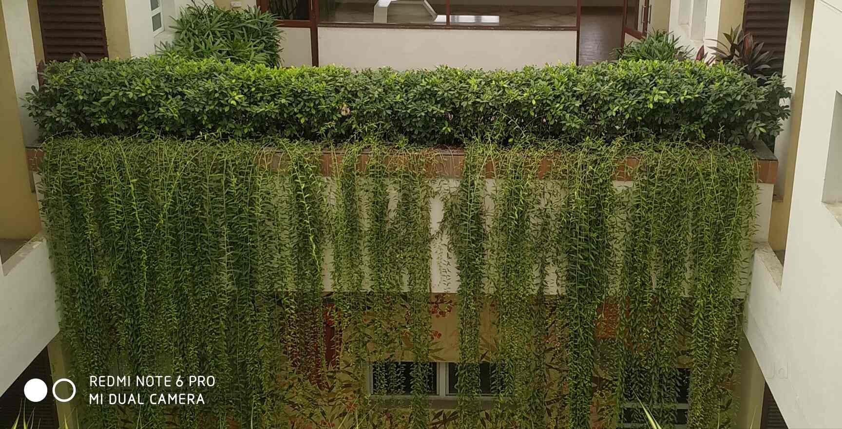 Amman Nursery And Landscape, Akkarai Plant Nurseries in Chennai