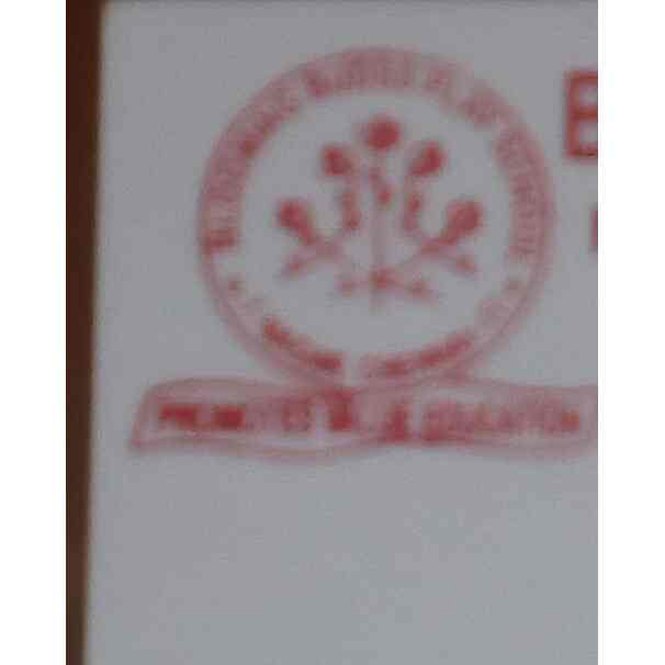 Blooming Budss Play School in T Nagar,Chennai Best Drawing Classes in