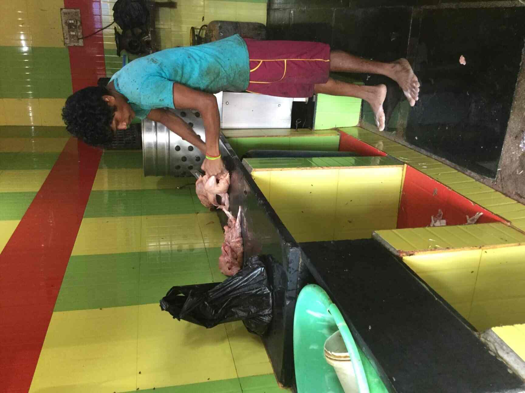 Baby Chicken in Thiruvanmiyur,Chennai Best Chicken Home Delivery in