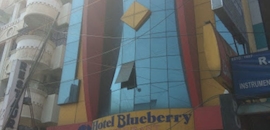 Top 20 Hotels In Kilpauk Best Hotel Booking Services Blueberry Hotel
